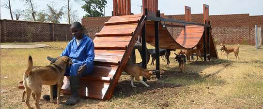 House Managers, Housekeepers, Chefs/Cooks, Estate Managers, Butlers, Chauffeurs/Drivers, Cleaners & Garden Services in Nairobi. image 9