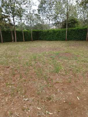 Beautiful one eighth plots in Ngong image 5