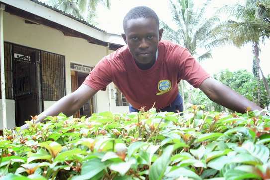 Bestcare Gardeners Syokimau Gigiri Runda Nyari Muthangari image 6