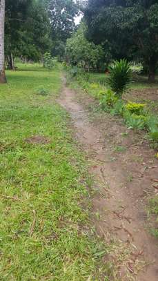 LAND FOR SALE ON THE CREEK. image 6