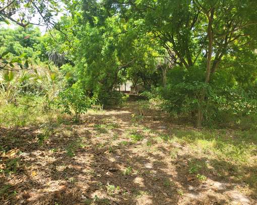 Residential Land in Nyali Area image 18