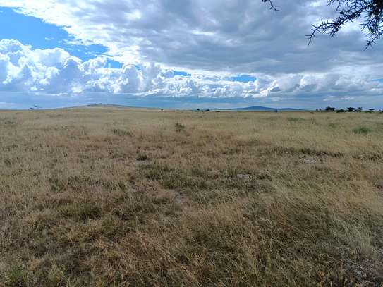 Land for sale in Lenchani image 3