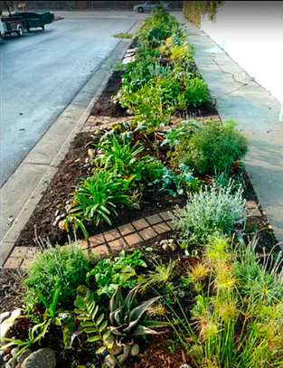 Expert Gardening Services in Nairobi image 10