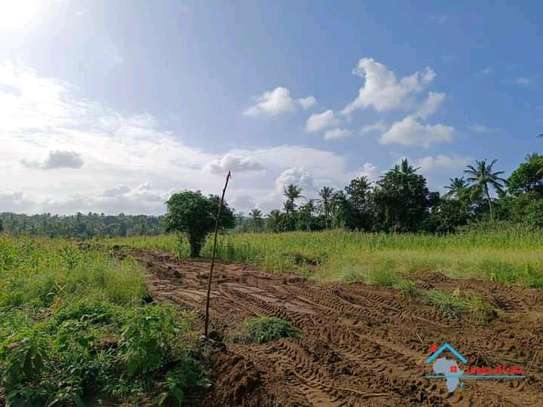 KIKAMBALA PRIME PLOTS FOR SALE WITH READY TITLE DEED image 5