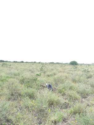 0.125 ac land for sale in Koma Rock image 7