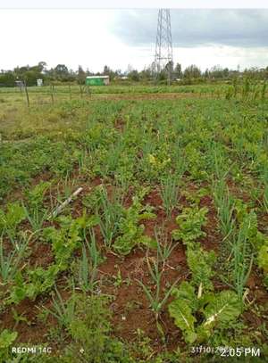 50×100 Plot In Ngarariga Gakawa, Near Nanyuki Airstrip image 1