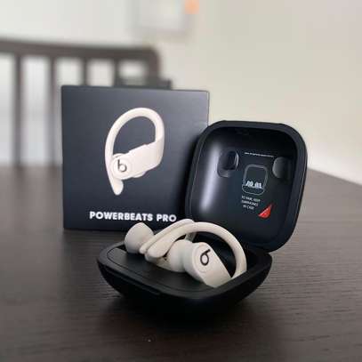 Beats by Dre Powerbeats Pro True Wireless Earbuds image 3