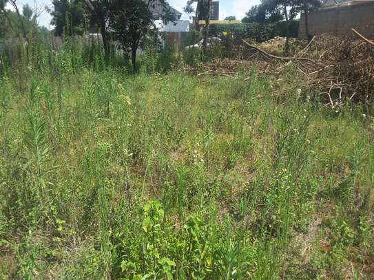 Beautiful one eighth  ( 1 / 8 ) Plots in Ongata Rongai image 11