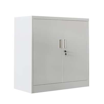 TwinDoor Flex Cabinet – Small Vertical Steel Organizer image 1