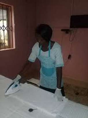 Domestic Staff, Cleaners & Gardener Services Nairobi. image 5