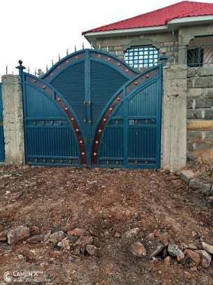 Top and  trendy high quality steel gates image 11