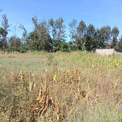 ½ ACRE LAND AT KENOL TOWN IN MURANGA COUNTY image 6