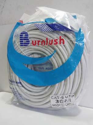 Cat-6 Ethernet Patch Cord (30 Meters) image 3