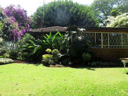 FOR SALE – PRESTIGIOUS PROPERTY LAVINGTON, NBI (0.8 ACRES) image 2