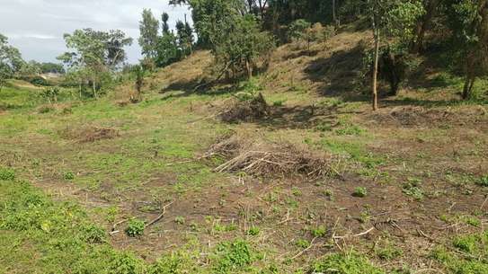 0.25 ac Land in Nyeri image 10