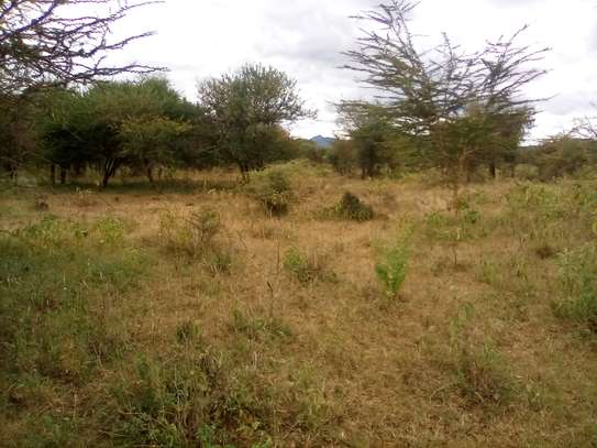 153 Acres of Land For Sale in Ngatateak - Namanga Rd image 10