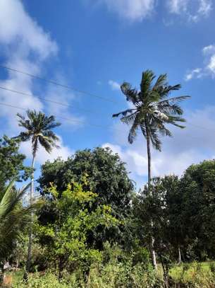 Commercial Land in Malindi image 11