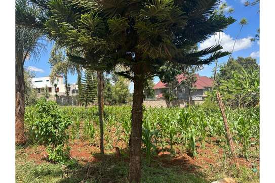 Residential Land in Kiambu Road image 4