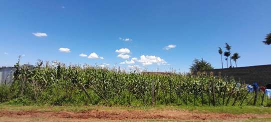 1/4 ACRE PLOT SALE IN MARURA WEIGHBRIDGE, ELDORET image 6