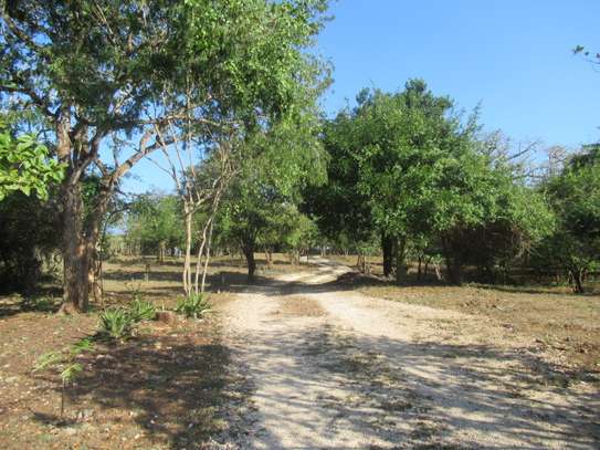 1-Acre Plots For Sale in Diani image 6