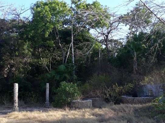 30,353 m² Commercial Land in Mtwapa image 5