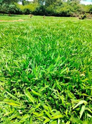 Faith's-Line Landscapers image 10