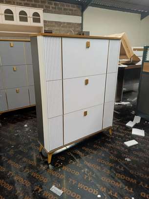 Flipping Shoe Cabinet Racks image 3