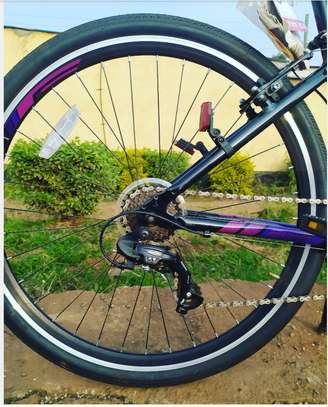 schwinn adamson bike