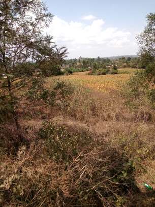 Kamangu Plot image 6