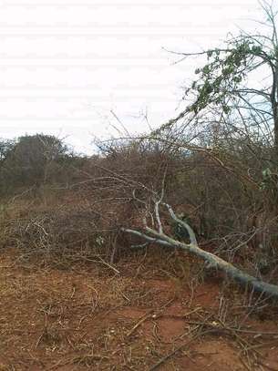 50 acres near ikoyo primary school makindu makueni county image 4