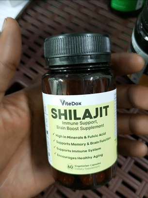 Vitedox shilajit immune and brain boost support image 1