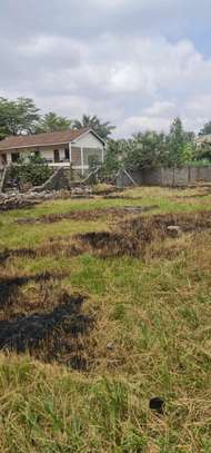 Land , selling 1/2 acre thome stream Drive. image 2