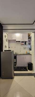 Studio Apartment with Gym at School Lane image 7