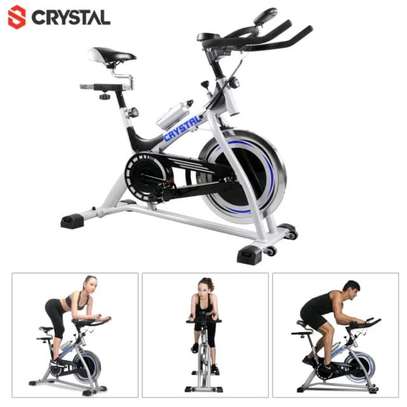 Spinning bike (crystal) image 2