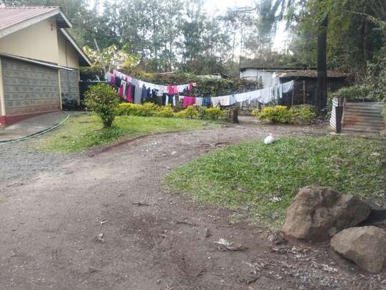 Two units, three bedrooms and two bedrooms bungalows. image 5