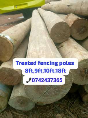 PRESSURIZED TREATED FENCING POLES image 2