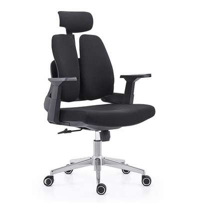Office Chair: Double Back Height Adjustable Armrests Chair image 6