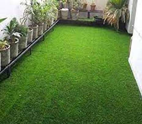 grass carpets for your homes image 3