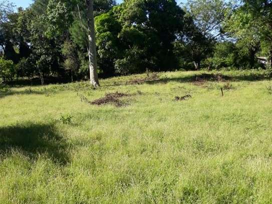 1012 m² commercial land for sale in Kikambala image 1