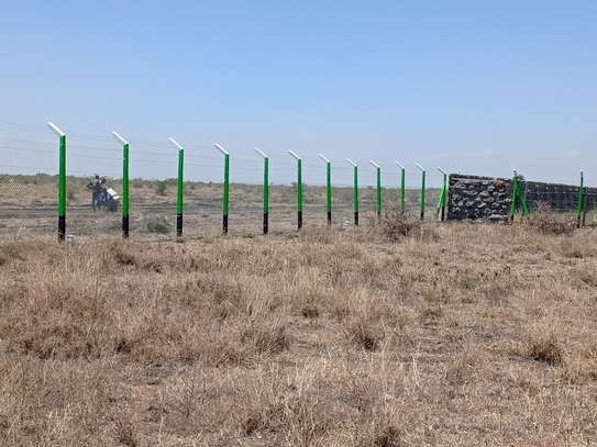 Ruiru Kamakis - Mwalimu Farm image 2