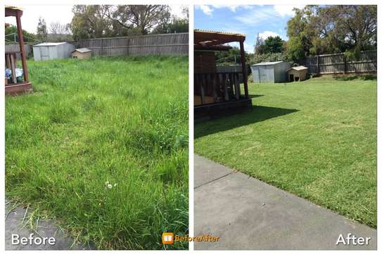 BEST Garden Maintenance/Hedge Trimming/ Lawn Treatment image 2