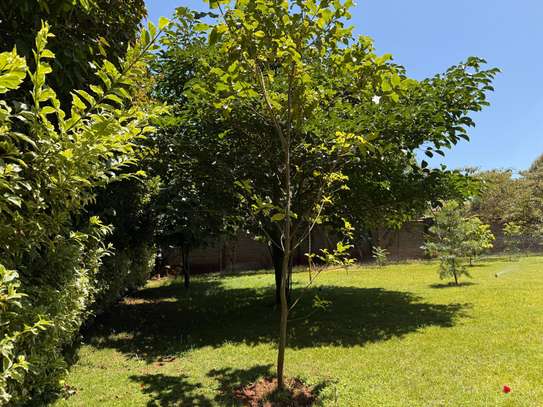 4 Bed Townhouse with En Suite at Bogani Road image 15