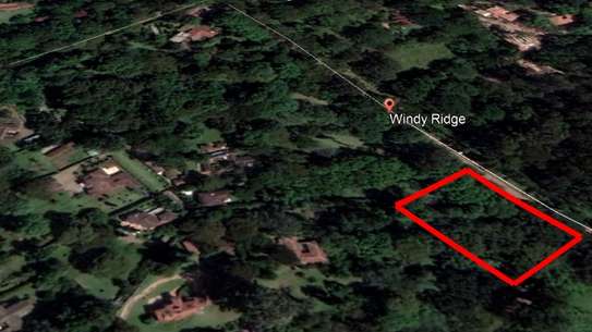 1.6 m² Land at Windy Ridge image 2