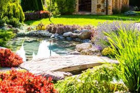 Best Landscaping & Gardening Services-Nakuru Experts image 11