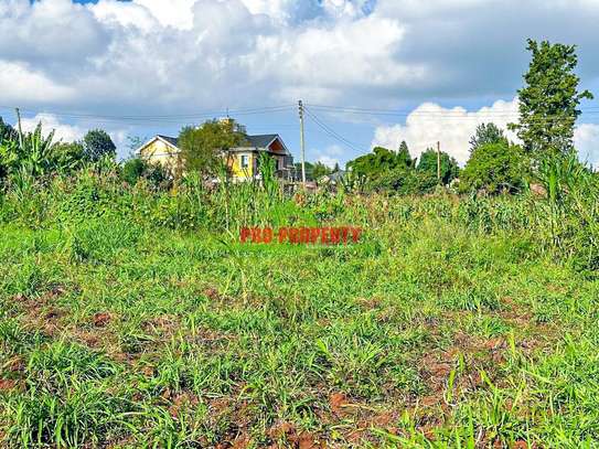 0.1 ha Residential Land at Ondiri image 3