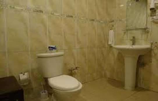 Trusted Plumbers & Handyman Services Kiambu Road Nairobi image 14