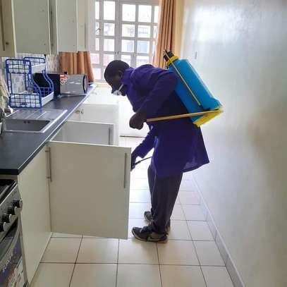 Pest Control and Fumigation Services Lucky Summer image 4