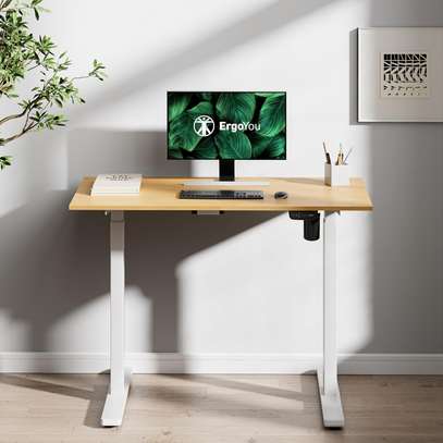 Height Adjustable electric standing desk image 11