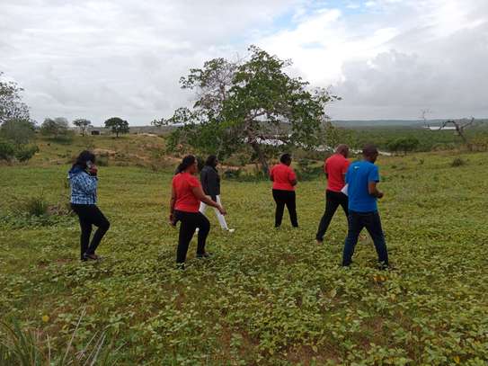 50*100 plots in Mombasa Dongo Kundu image 7