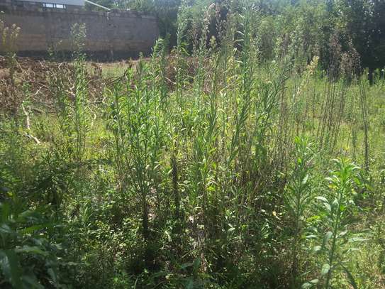 Beautiful one eighth  ( 1 / 8 ) Plots in Ongata Rongai image 13